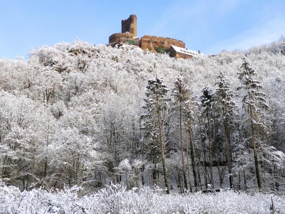 Ferienwohnung 'Unter Der Burg' Brodenbach Extérieur photo